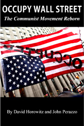 The movement's leading organizer is a longtime anti-globalism anarchist whose adult life has been devoted largely to dismantling "the capitalist system" and creating "a new world" in its stead.